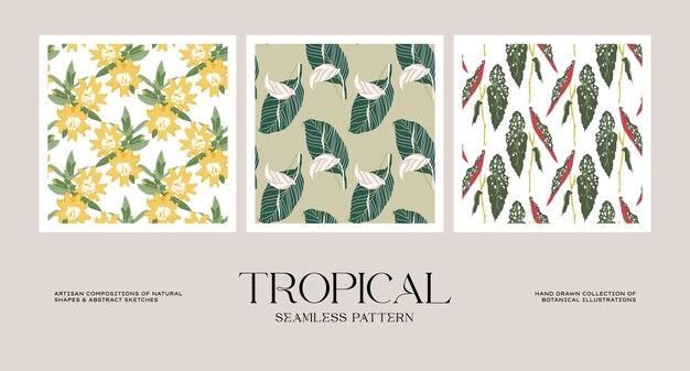 Colección de patrones sin fisuras de flores tropicales y botánicas para papel de regalo o diseño de envases