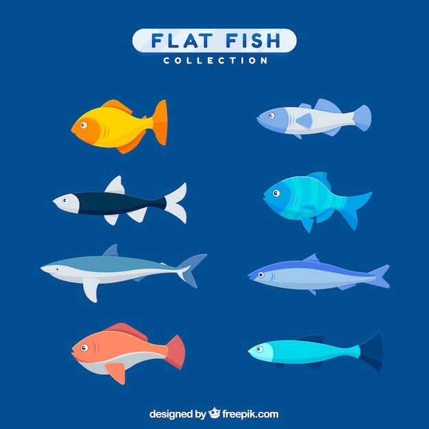 Colección de peces coloridos en estilo plano
