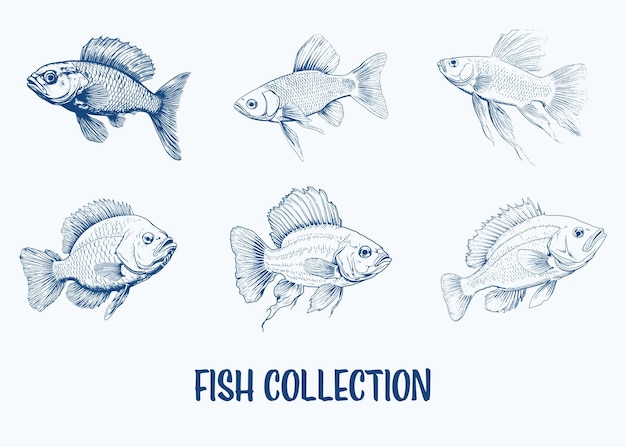 Vector colección de peces tirados