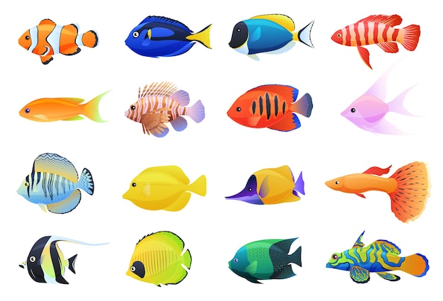 Vector colección de peces tropicales de acuario de colores