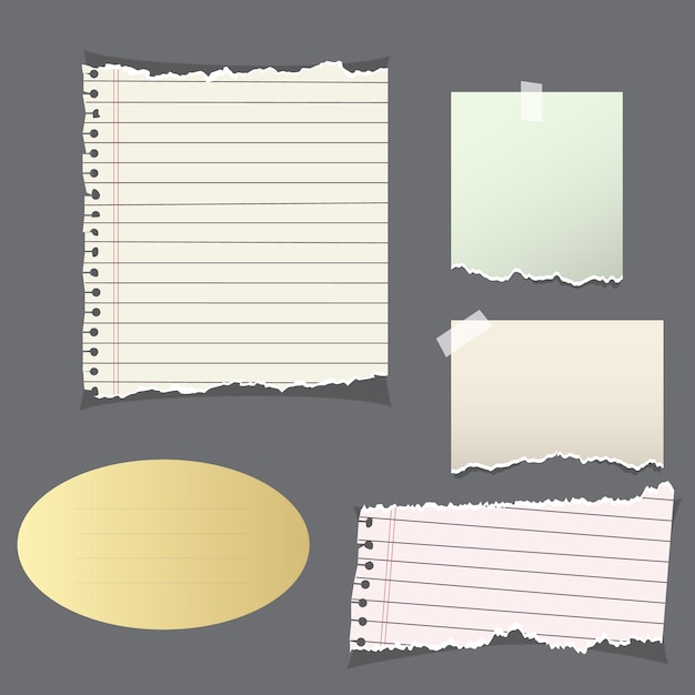 Colección de pedazos rasgados de papel de color blanco tiras de papel rasgadas Ilustración vectorial