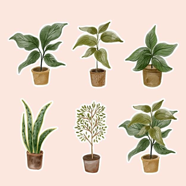 Vector colección de pegatinas de acuarela de plantas urbanas