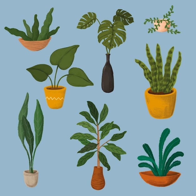 Colección de pegatinas de plantas de interior