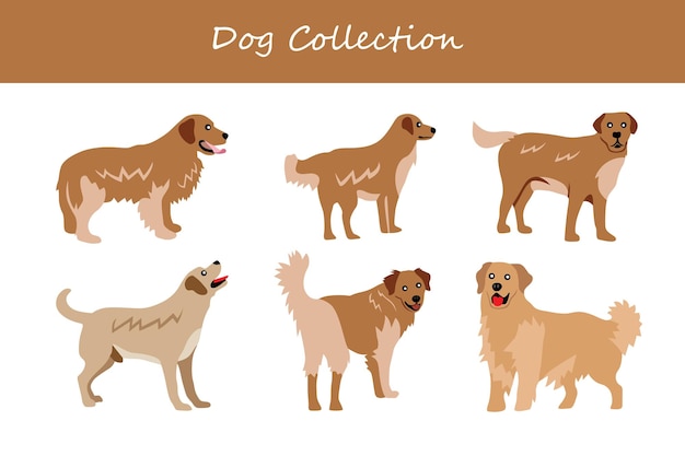 Colección de perros diferentes poses ilustración vectorial