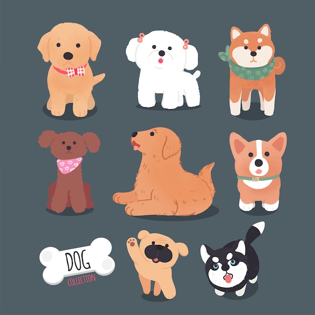 Vector colección de perros de diseño de personajes dibujados a mano