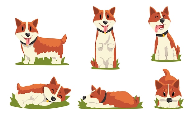 Colección de perros lindos en actividades cotidianas Animales de compañía lindos en varias poses Ilustración vectorial en fondo blanco