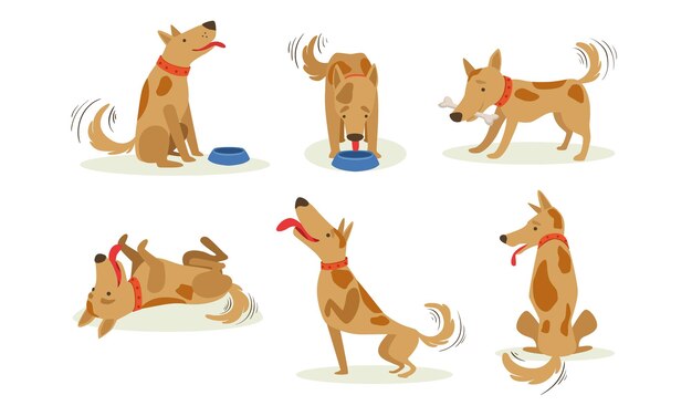 Vector colección de perros marrones divertidos en diferentes situaciones conjunto de personajes de dibujos animados de animales felices y lindos ilustración vectorial