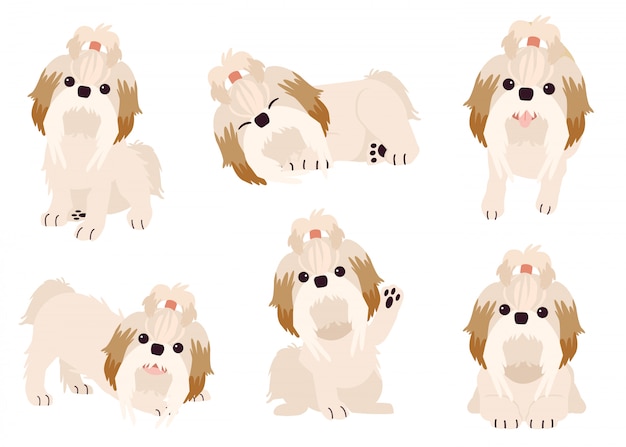 La colección de perros shihtzu en muchas acciones con estilo de vector plano. recurso gráfico sobre un conjunto de perros boston terrier