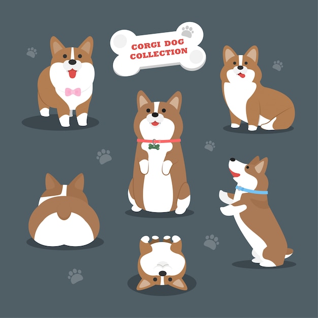 Colección de perros vector corgi