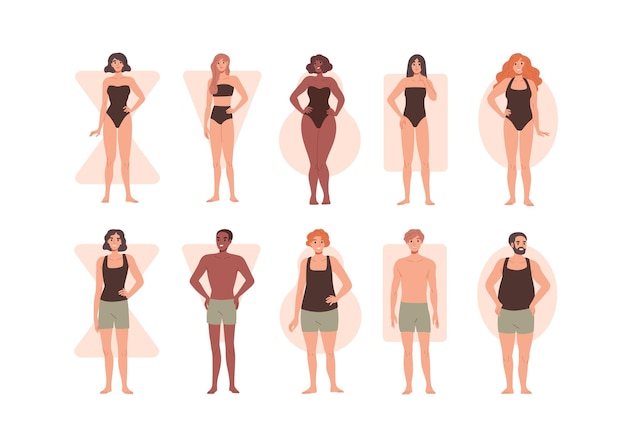 Colección de personas con diferentes formas corporales ilustración plana vectorial Conjunto de hombre y mujer con varias figuras tipo reloj de arena triángulo invertido perra rectángulo y oval aislado en blanco