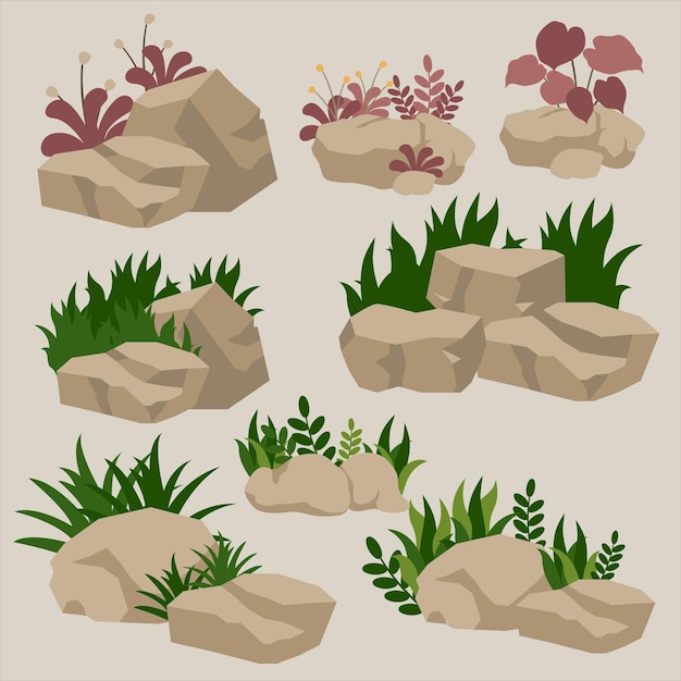 Colección Piedra con Hierba