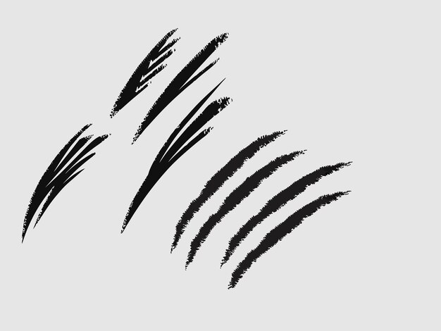Colección de pincel de tinta con trazo negro Grunge textura aislada en blanco Colección Paintbrush