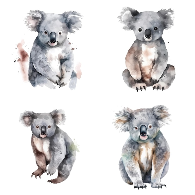 Colección de pintura de acuarela Koala