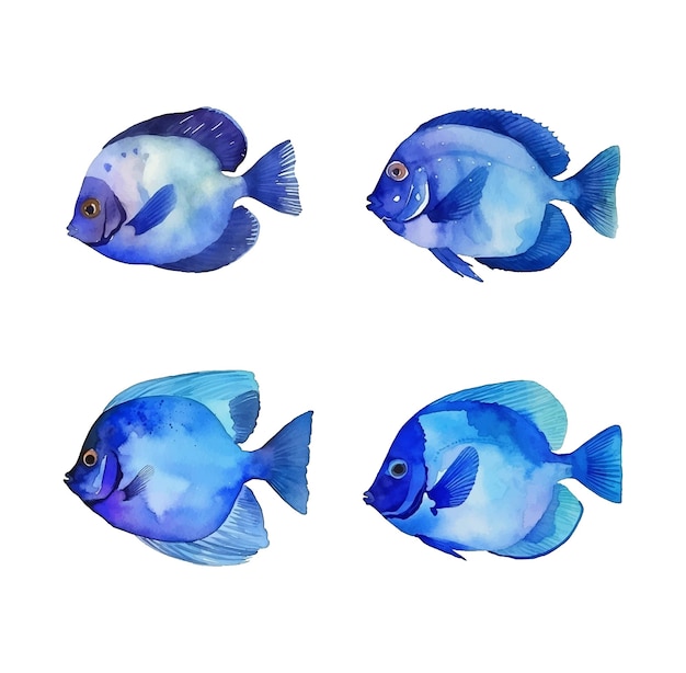 colección de pintura de acuarela de pescado azul