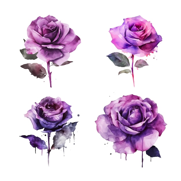 Colección de pintura de acuarela rosa púrpura