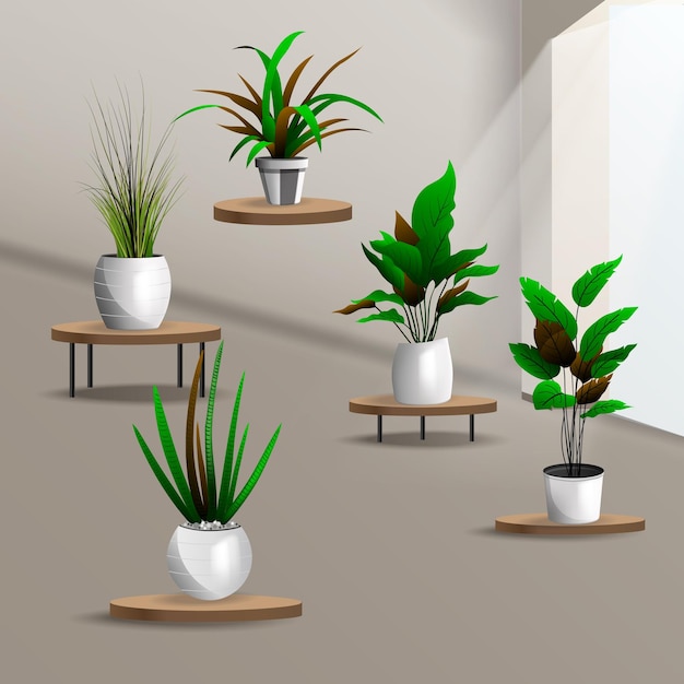 colección planta interior vector arte