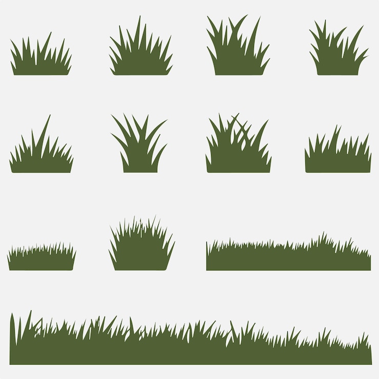 Vector una colección de plantas con diferentes formas y tamaños de hierba