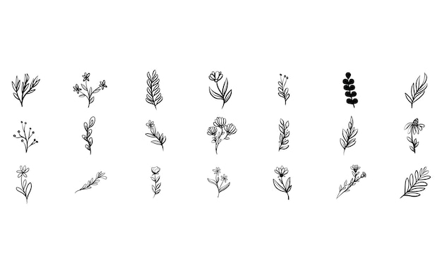 colección de plantas y flores dibujada a mano