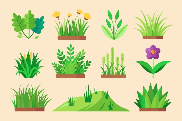 una colección de plantas y flores del jardín