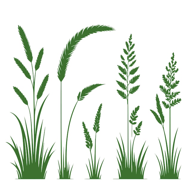 una colección de plantas y flores en un vector de fondo blanco