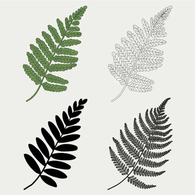 una colección de plantas y hojas del arte botánico del arte botánica