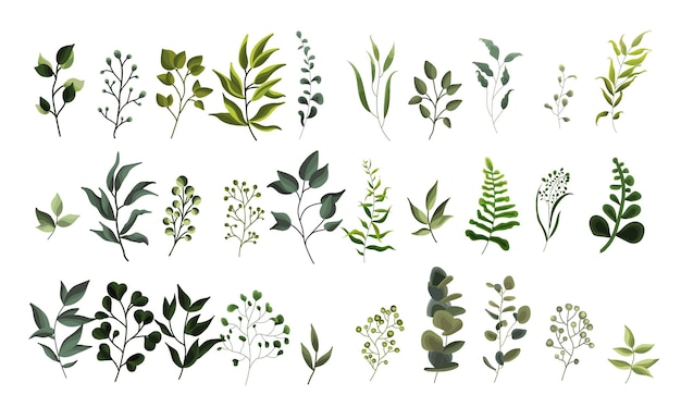 una colección de plantas, incluidas hojas y plantas