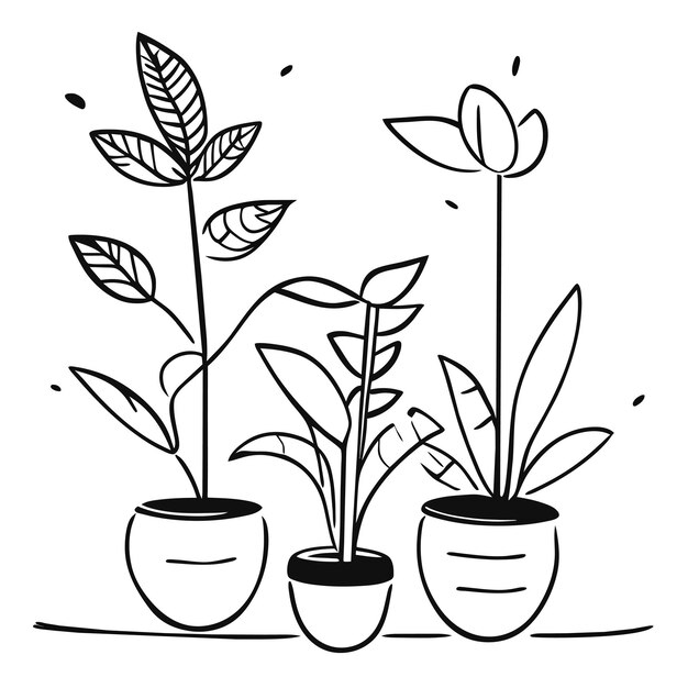 Colección de plantas de interior dibujadas a mano o colección de hermosas plantas de interior en macetas