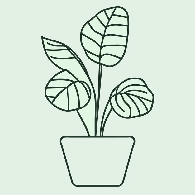 Vector colección de plantas de interior dibujadas a mano o colección de hermosas plantas de interior en macetas