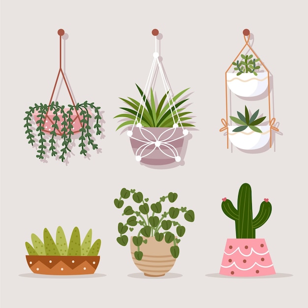 Colección de plantas de interior dibujadas a mano