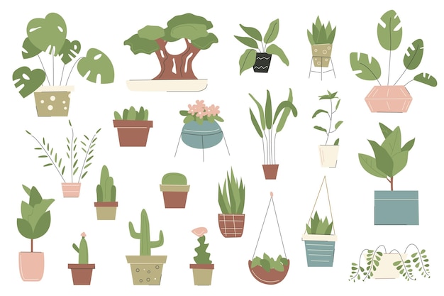 https://img.freepik.com/vector-premium/coleccion-plantas-interior-estilo-dibujos-animados-planos-ilustracion-vectorial_596424-149.jpg?size=626&ext=jpg