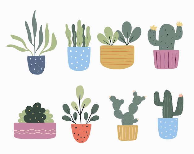 Colección de plantas de interior flores en macetas planta de follaje verde