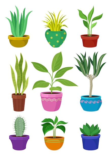 Vector colección de plantas de interior en macetas coloridas.