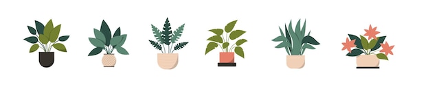 Colección de plantas de interior en ollas de arcilla para decoración interior oficina en el hogar ilustración plana dibujada a mano