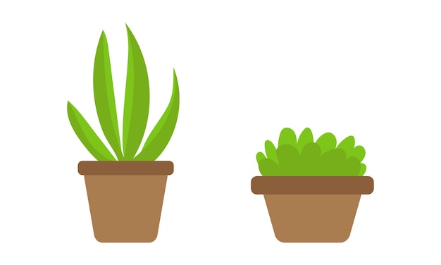 Colección de plantas de interior planas vectoriales en blanco