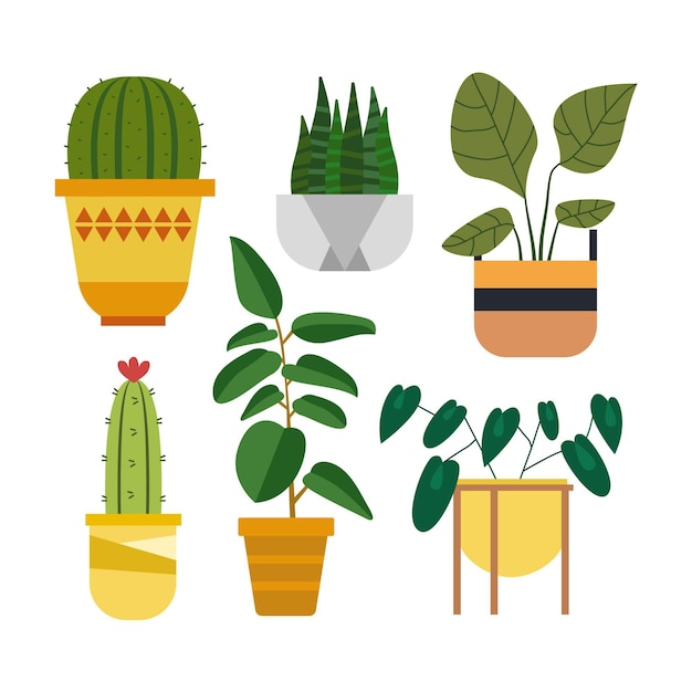 Vector colección de plantas de interior planas