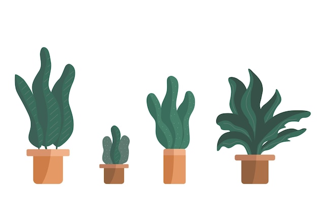 Colección de plantas en macetas Vector dibujado a mano y plantas de interiorConjunto de dibujos animados de vector de planta de interior