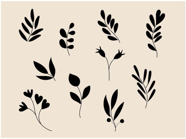una colección de plantas negras y blancas con hojas negras