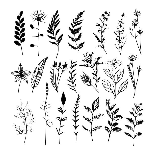 Una colección de plantas pequeñas con diferentes formas y tamaños ilustración vectorial Plantas dibujadas a mano