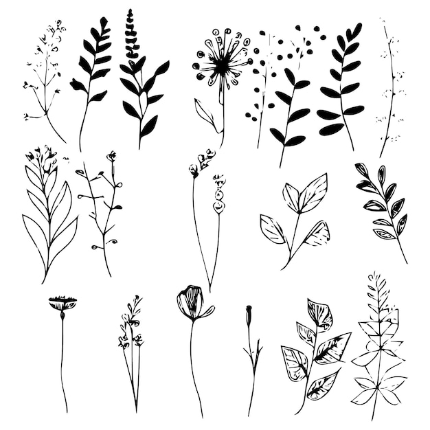 Vector una colección de plantas pequeñas con diferentes formas y tamaños ilustración vectorial plantas dibujadas a mano