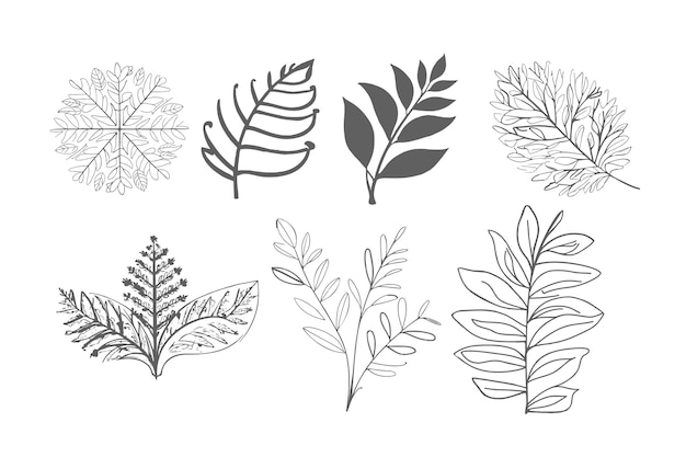 una colección de plantas y plantas de la colección de plantas