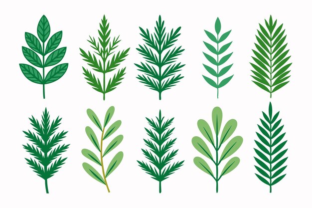 una colección de plantas y plantas dibujadas por una persona