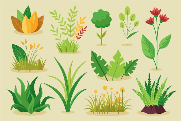 una colección de plantas y plantas del jardín