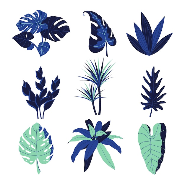 Una colección de plantas tropicales.