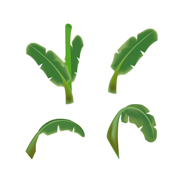 una colección de plantas verdes con la palabra no en ellas
