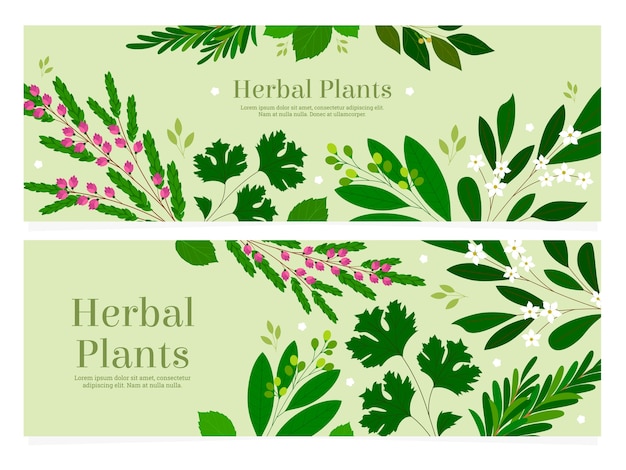 Colección de plantillas de banderas horizontales de hierbas planas dibujadas a mano.