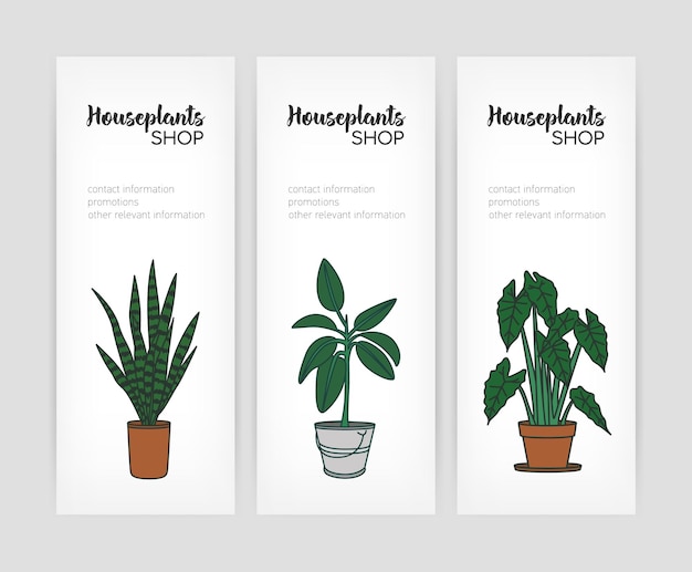 Colección de plantillas de banner vertical con plantas que crecen en macetas