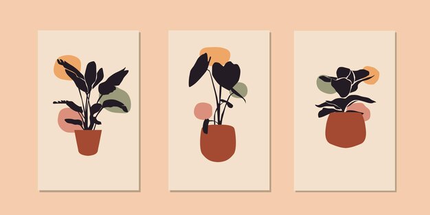 Colección de plantillas de carteles abstractos de florero contemporáneo boho moderno