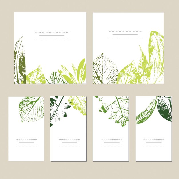 Vector colección de plantillas de etiquetas vectoriales tarjetas de visita tarjetas cuadradas de saludos y pancartas con plantas domésticas