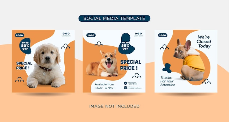 Colección de plantillas de publicación de instagram de redes sociales de cuidado de mascotas veterinarias
