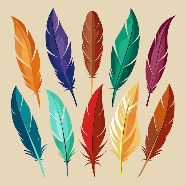 una colección de plumas de la colección de aves